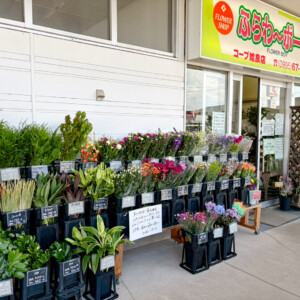 姶良店 1